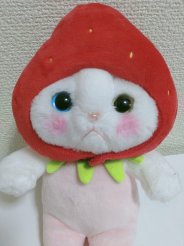 【新商品開発への道】いちごちゃん、靴下の最終チェックを任される