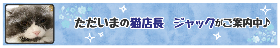 【今週の猫店長 ジャックちゃん】ツンデレで甘えん坊な男の子