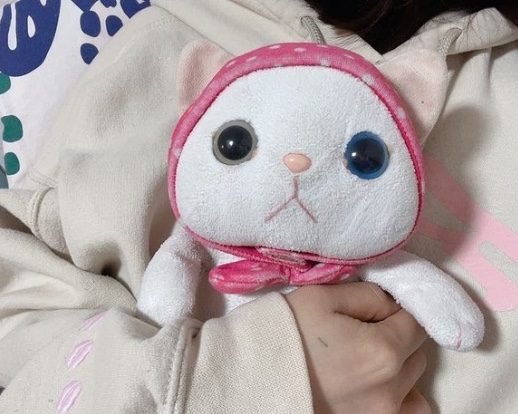 Nhkでピンクずきん猫のたまちゃんが出演します Blog 公式 猫グッズ 猫雑貨のchoo Choo本舗 猫グッズ 猫雑貨のchoo Choo本舗