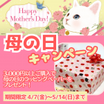 母の日CP2023