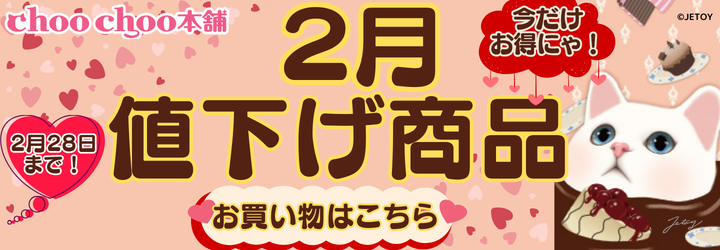 2月限定値下げ