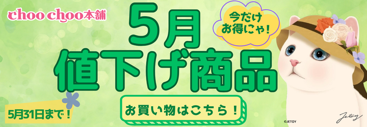 5月限定値下げ