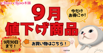 9月限定値下げ