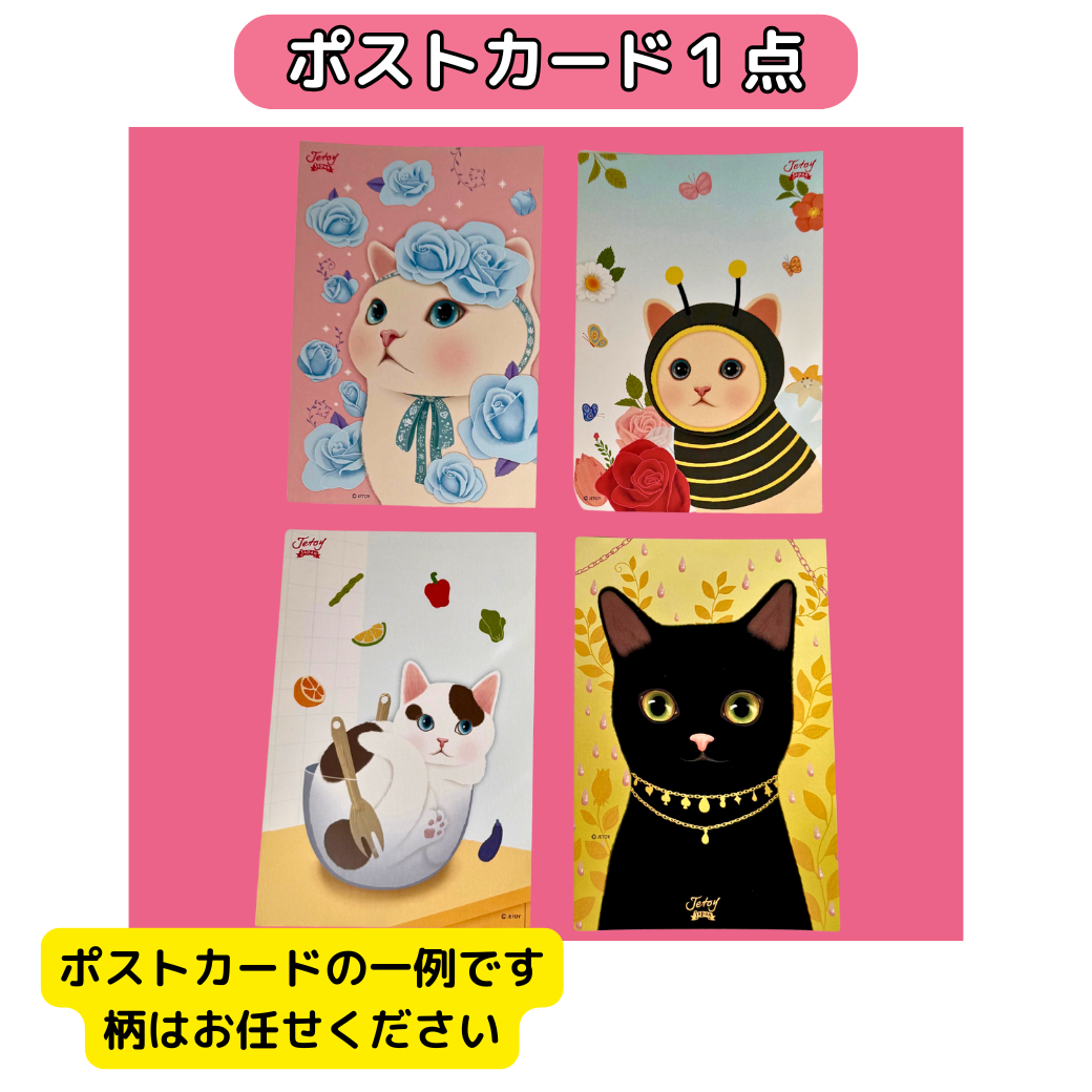現在発売されていない「ポストカード」も<br>１点つけちゃいます！<br>ランダムなので、画像以外のポストカードになる可能性もございます。