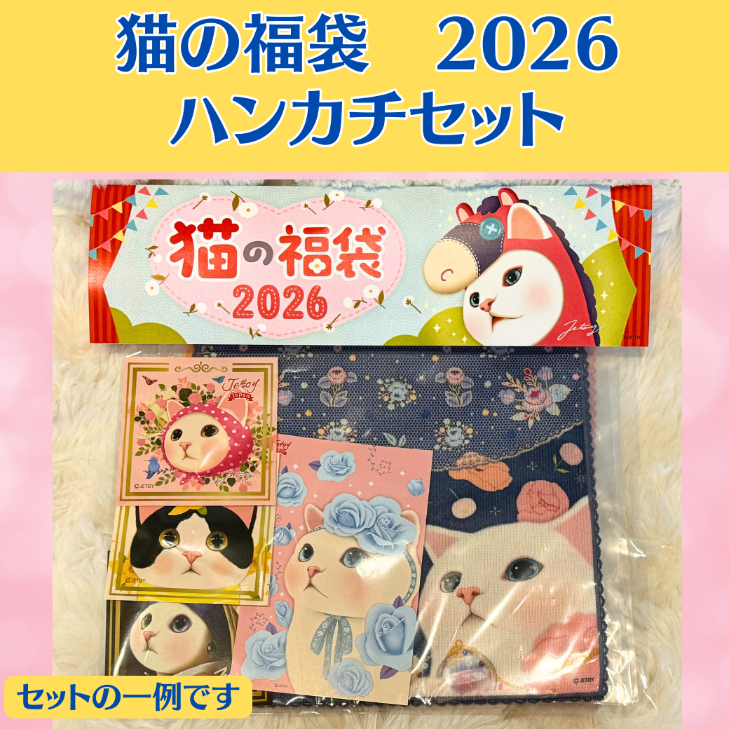 中身の一例です！<br>プチプラ福袋で運試ししませんか？😻