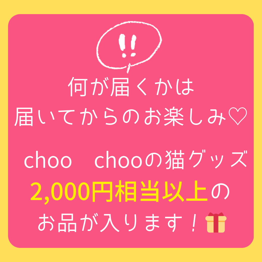 choo chooのお楽しみアイテムが入ります♪<br>2,000円相当以上のお品が<br>ランダムで入ります！<br>