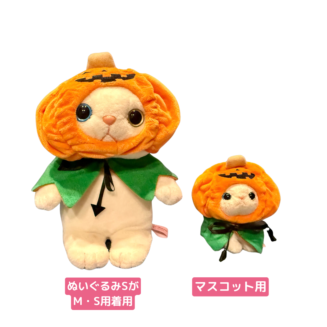 Mサイズとマスコットサイズちゃんが並んでみました🎃