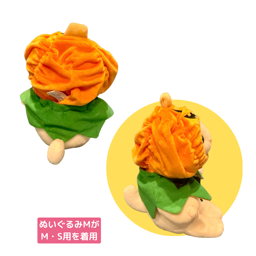 ぬいぐるみMの着用イメージです⭐<br>横顔も後ろ姿もキュート🎃