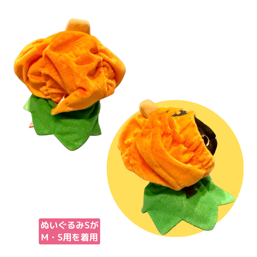 ぬいぐるみSの着用イメージです⭐<br>横顔、後ろ姿もキュート🎃